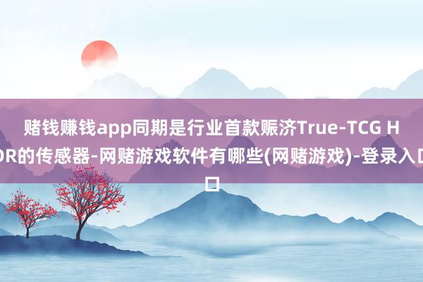 赌钱赚钱app同期是行业首款赈济True-TCG HDR的传感器-网赌游戏软件有哪些(网赌游戏)-登录入口