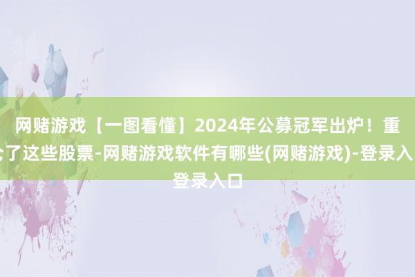网赌游戏【一图看懂】2024年公募冠军出炉！重仓了这些股票-网赌游戏软件有哪些(网赌游戏)-登录入口